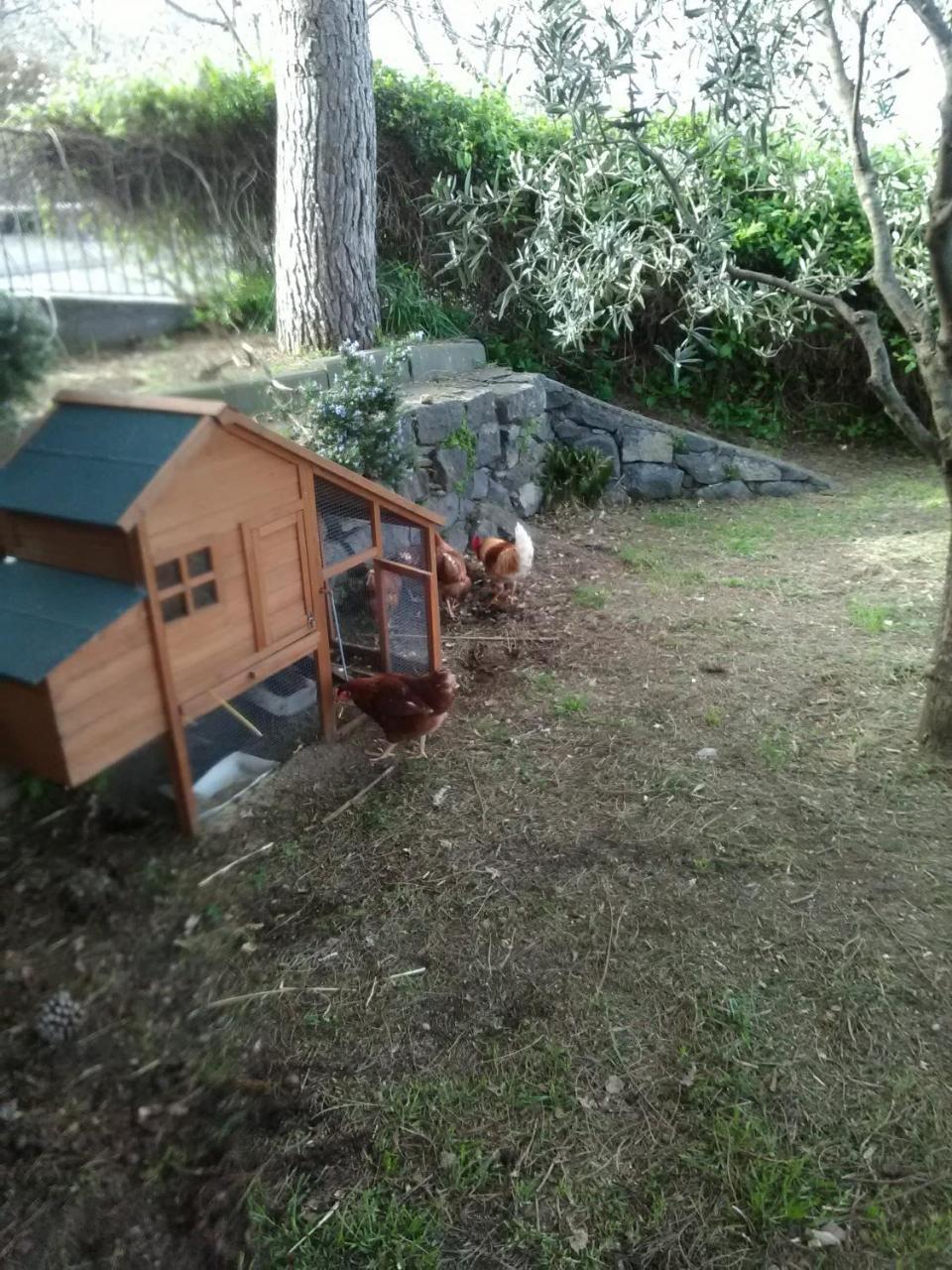 La Pietra Antica O' Munti Villa Маскали Екстериор снимка